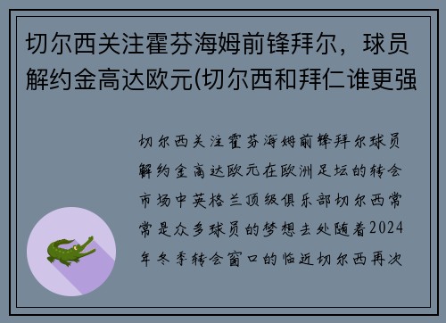 切尔西关注霍芬海姆前锋拜尔,球员解约金高达欧元(切尔西和拜仁谁更强)