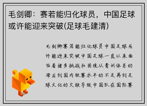 毛剑卿:赛若能归化球员,中国足球或许能迎来突破(足球毛建清)